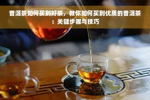 普洱茶如何买到好茶，教你如何买到优质的普洱茶：关键步骤与技巧