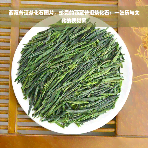  *** 普洱茶化石图片，珍贵的 *** 普洱茶化石：一张历与文化的视觉宴