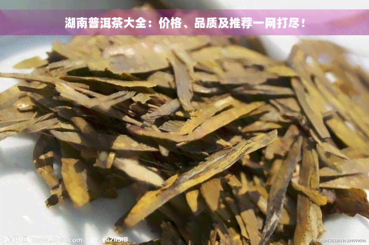 湖南普洱茶大全：价格、品质及推荐一网打尽！