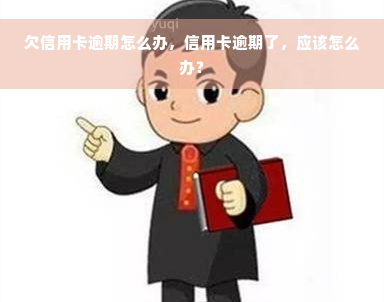 欠信用卡逾期怎么办，信用卡逾期了，应该怎么办？