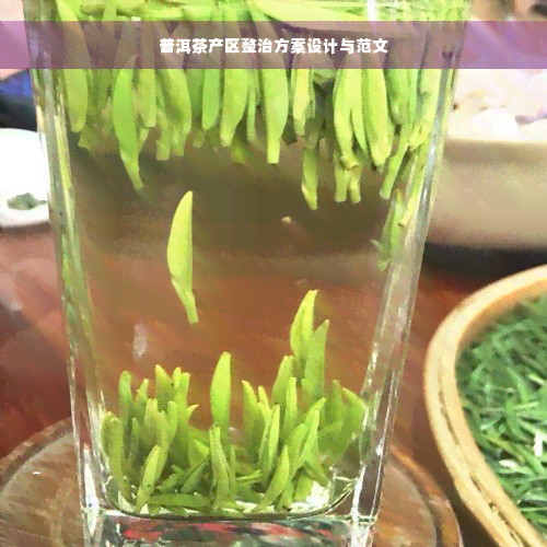 普洱茶产区整治方案设计与范文