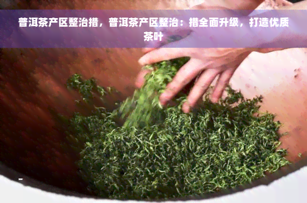 普洱茶产区整治措，普洱茶产区整治：措全面升级，打造优质茶叶