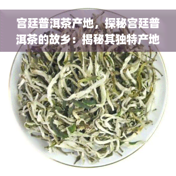 宫廷普洱茶产地，探秘宫廷普洱茶的故乡：揭秘其独特产地