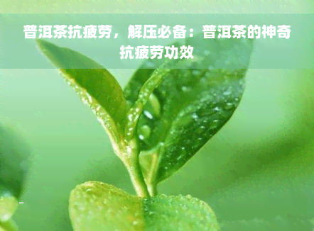 普洱茶抗疲劳，解压必备：普洱茶的神奇抗疲劳功效