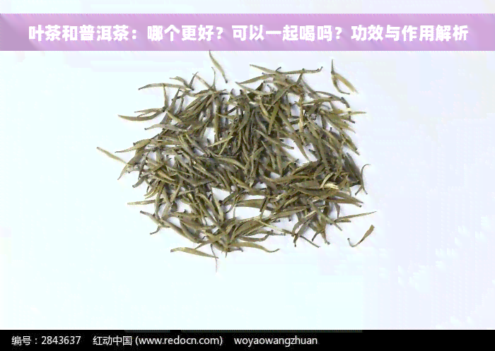 叶茶和普洱茶：哪个更好？可以一起喝吗？功效与作用解析