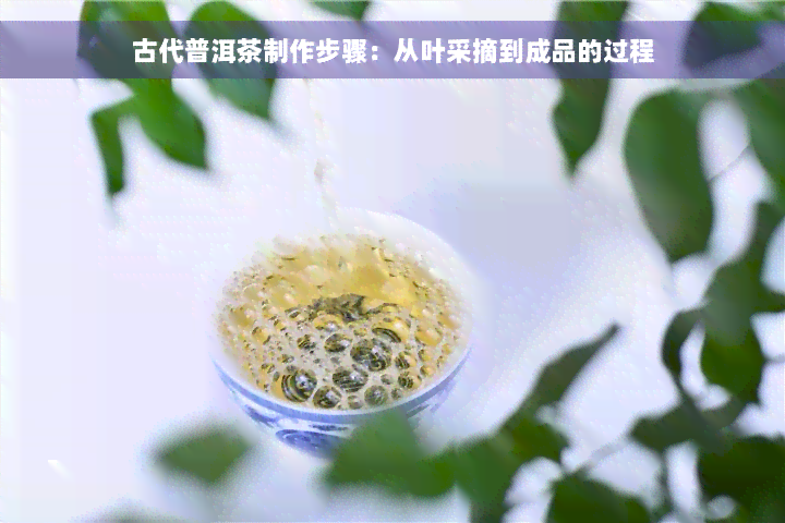 古代普洱茶制作步骤：从叶采摘到成品的过程