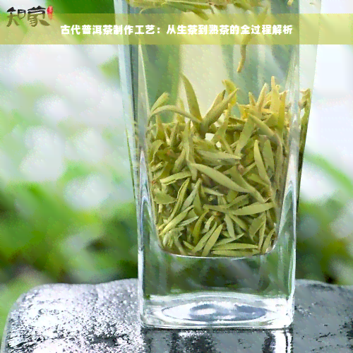 古代普洱茶制作工艺：从生茶到熟茶的全过程解析