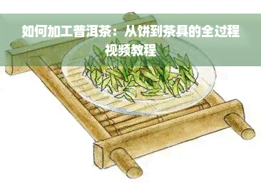 如何加工普洱茶：从饼到茶具的全过程视频教程