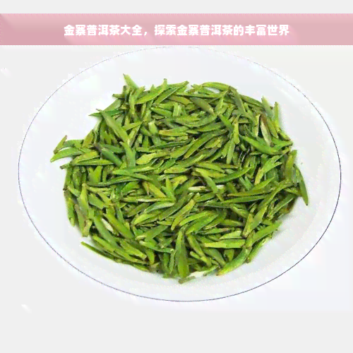 金寨普洱茶大全，探索金寨普洱茶的丰富世界