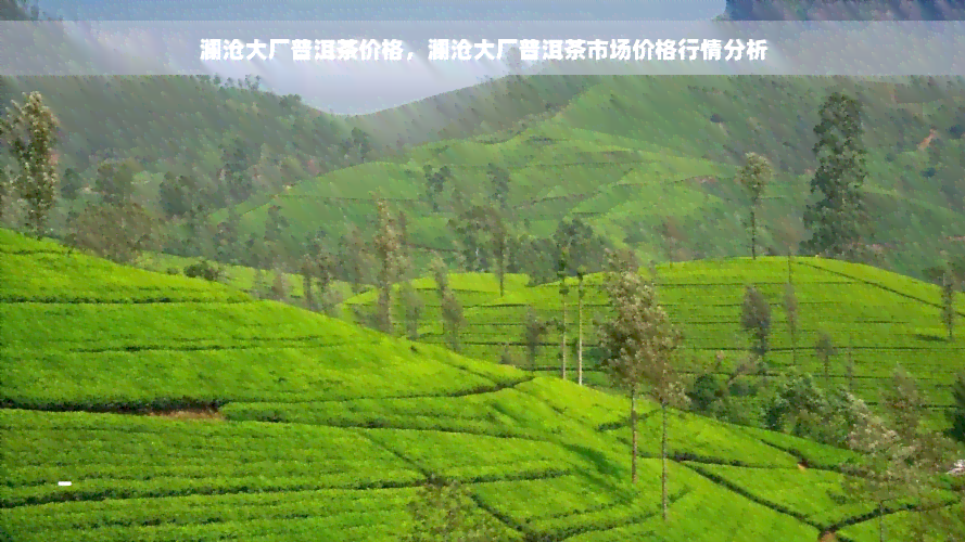 澜沧大厂普洱茶价格，澜沧大厂普洱茶市场价格行情分析