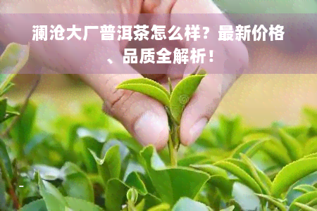 澜沧大厂普洱茶怎么样？最新价格、品质全解析！