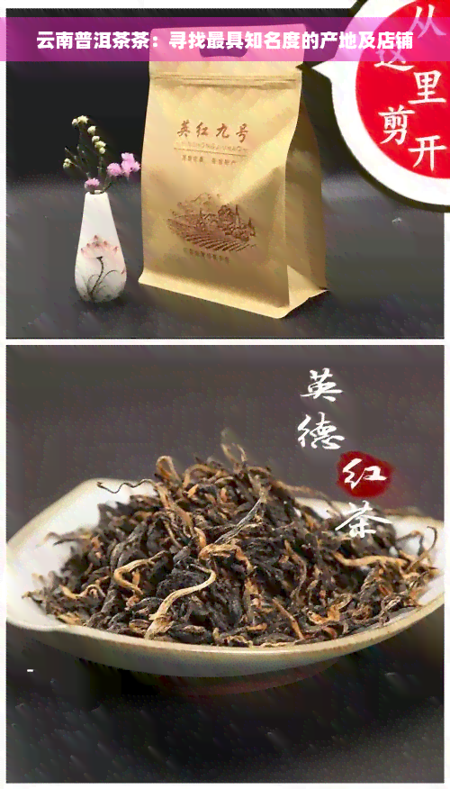 云南普洱茶茶：寻找更具知名度的产地及店铺