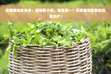 抚顺普洱茶排名：揭秘前十名，谁是之一？抚顺普洱茶最新排名出炉！