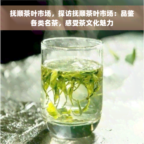 抚顺茶叶市场，探访抚顺茶叶市场：品鉴各类名茶，感受茶文化魅力