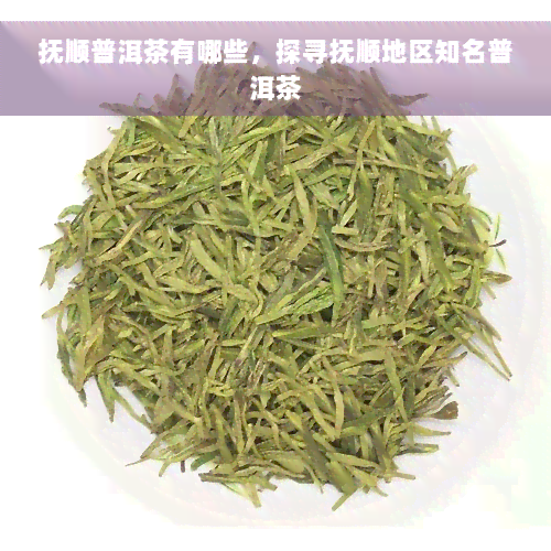 抚顺普洱茶有哪些，探寻抚顺地区知名普洱茶