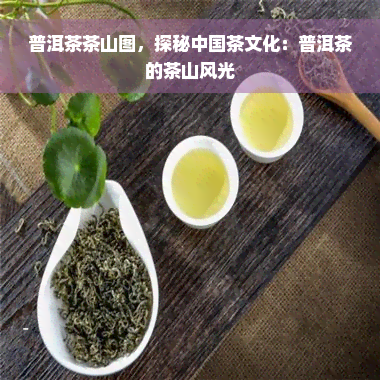 普洱茶茶山图，探秘中国茶文化：普洱茶的茶山风光