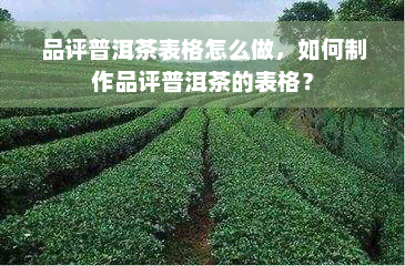 品评普洱茶表格怎么做，如何制作品评普洱茶的表格？