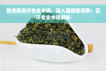 普洱茶品评专业术语，深入理解普洱茶：品评专业术语解析