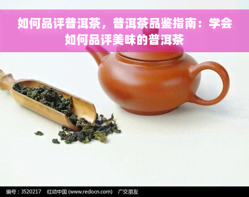 如何品评普洱茶，普洱茶品鉴指南：学会如何品评美味的普洱茶