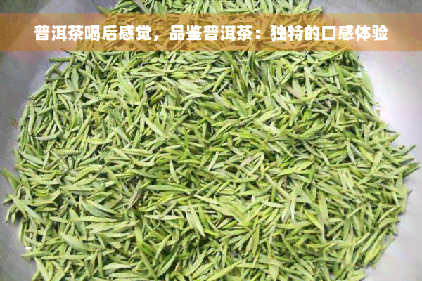 普洱茶喝后感觉，品鉴普洱茶：独特的口感体验