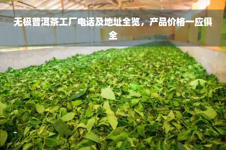 无极普洱茶工厂电话及地址全览，产品价格一应俱全