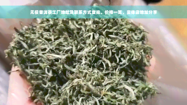 无极普洱茶工厂地址及联系方式查询，价格一览，实体店地址分享