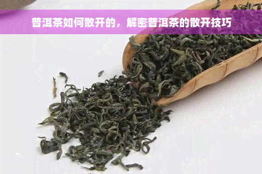 普洱茶如何散开的，解密普洱茶的散开技巧