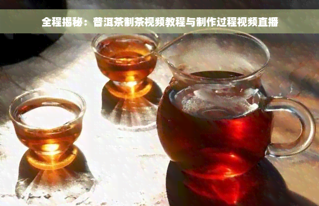 全程揭秘：普洱茶制茶视频教程与制作过程视频直播