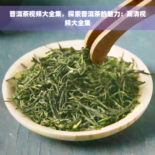 普洱茶视频大全集，探索普洱茶的魅力：高清视频大全集