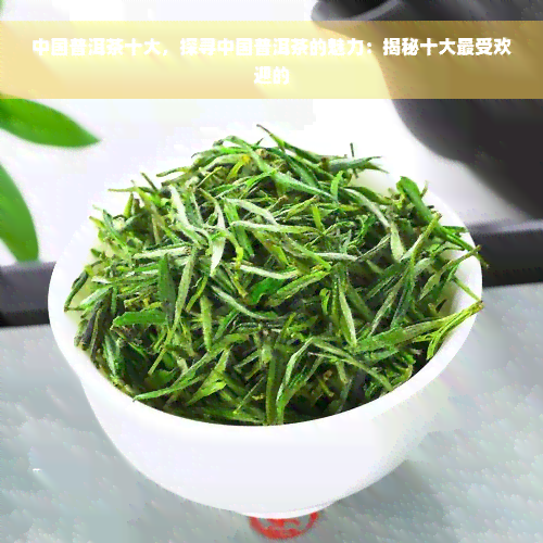 中国普洱茶十大，探寻中国普洱茶的魅力：揭秘十大更受欢迎的