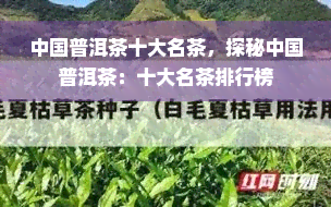 中国普洱茶十大名茶，探秘中国普洱茶：十大名茶排行榜