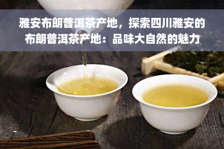 雅安布朗普洱茶产地，探索四川雅安的布朗普洱茶产地：品味大自然的魅力