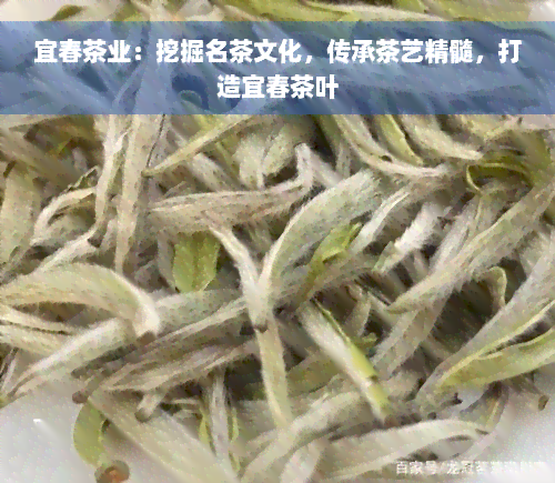 宜春茶业：挖掘名茶文化，传承茶艺精髓，打造宜春茶叶