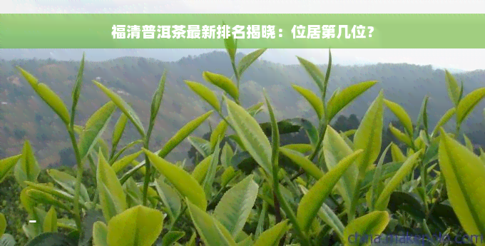 福清普洱茶最新排名揭晓：位居第几位？