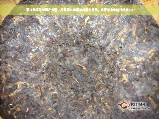 丽江普洱茶创意产业园，探秘丽江普洱茶创意产业园，感受茶文化的独特魅力！