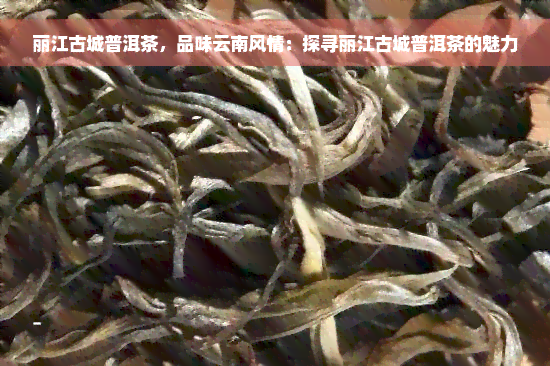 丽江古城普洱茶，品味云南风情：探寻丽江古城普洱茶的魅力