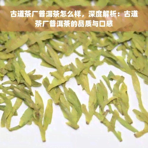 古道茶厂普洱茶怎么样，深度解析：古道茶厂普洱茶的品质与口感