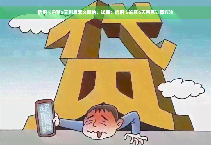 信用卡逾期5天利息怎么算的，详解：信用卡逾期5天利息计算方法