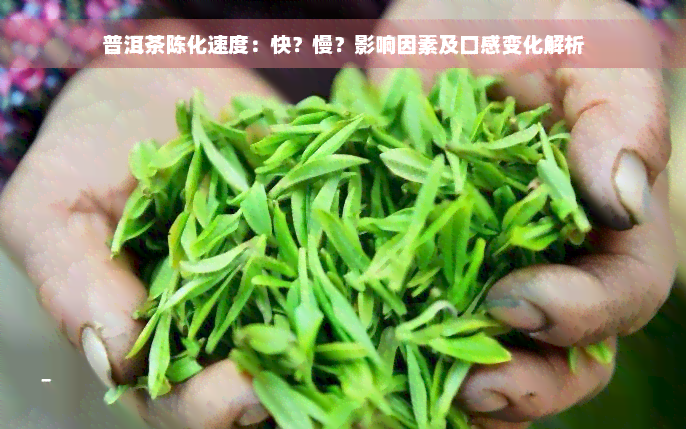 普洱茶陈化速度：快？慢？影响因素及口感变化解析