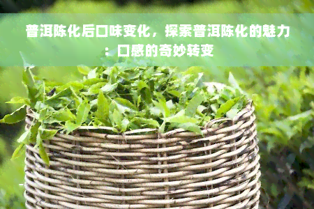 普洱陈化后口味变化，探索普洱陈化的魅力：口感的奇妙转变