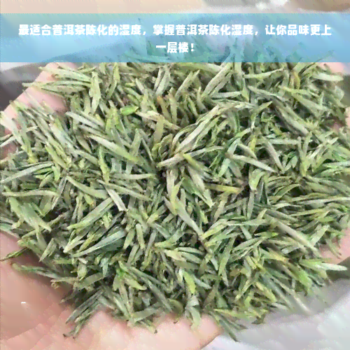 最适合普洱茶陈化的湿度，掌握普洱茶陈化湿度，让你品味更上一层楼！