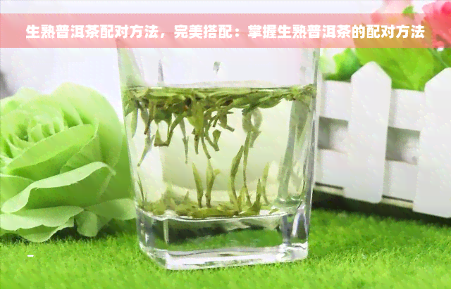 生熟普洱茶配对方法，完美搭配：掌握生熟普洱茶的配对方法