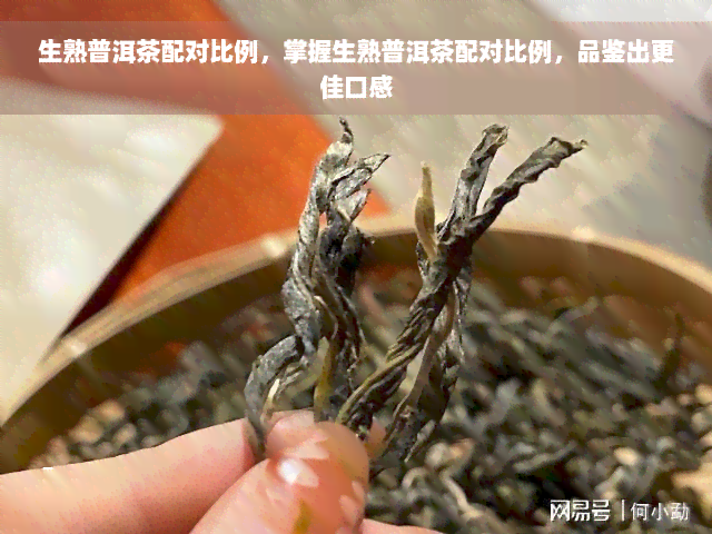 生熟普洱茶配对比例，掌握生熟普洱茶配对比例，品鉴出更佳口感