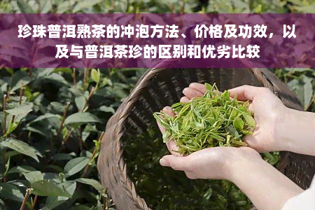 珍珠普洱熟茶的冲泡方法、价格及功效，以及与普洱茶珍的区别和优劣比较