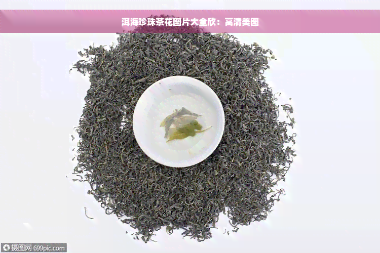 洱海珍珠茶花图片大全欣：高清美图