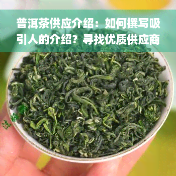 普洱茶供应介绍：如何撰写吸引人的介绍？寻找优质供应商与供应链的指南