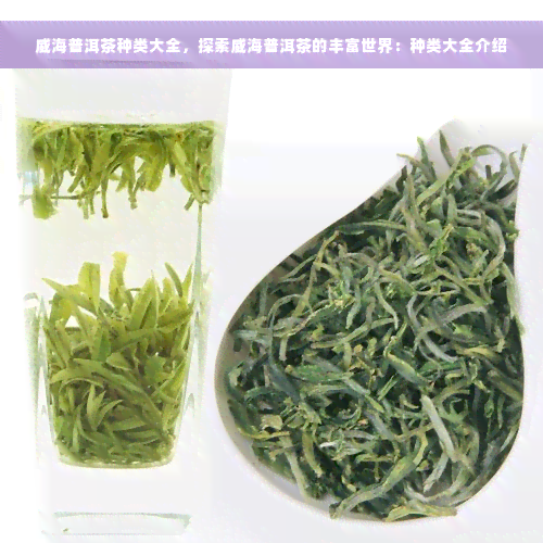 威海普洱茶种类大全，探索威海普洱茶的丰富世界：种类大全介绍