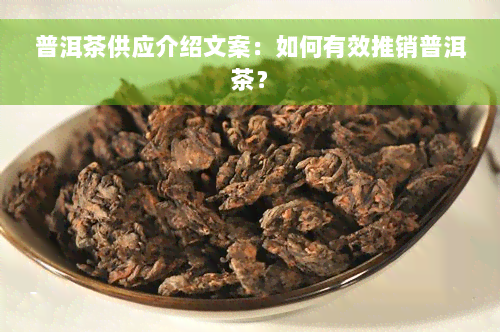 普洱茶供应介绍文案：如何有效推销普洱茶？