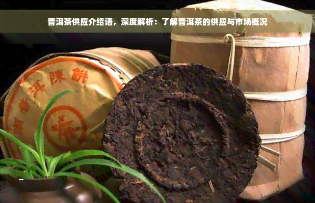 普洱茶供应介绍语，深度解析：了解普洱茶的供应与市场概况