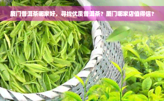 厦门普洱茶哪家好，寻找优质普洱茶？厦门哪家店值得信？